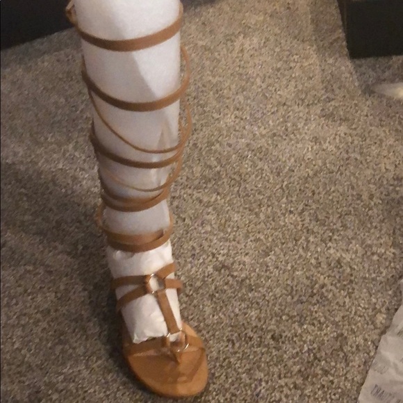 Colin Stuart gladiator - Picture 2 of 5